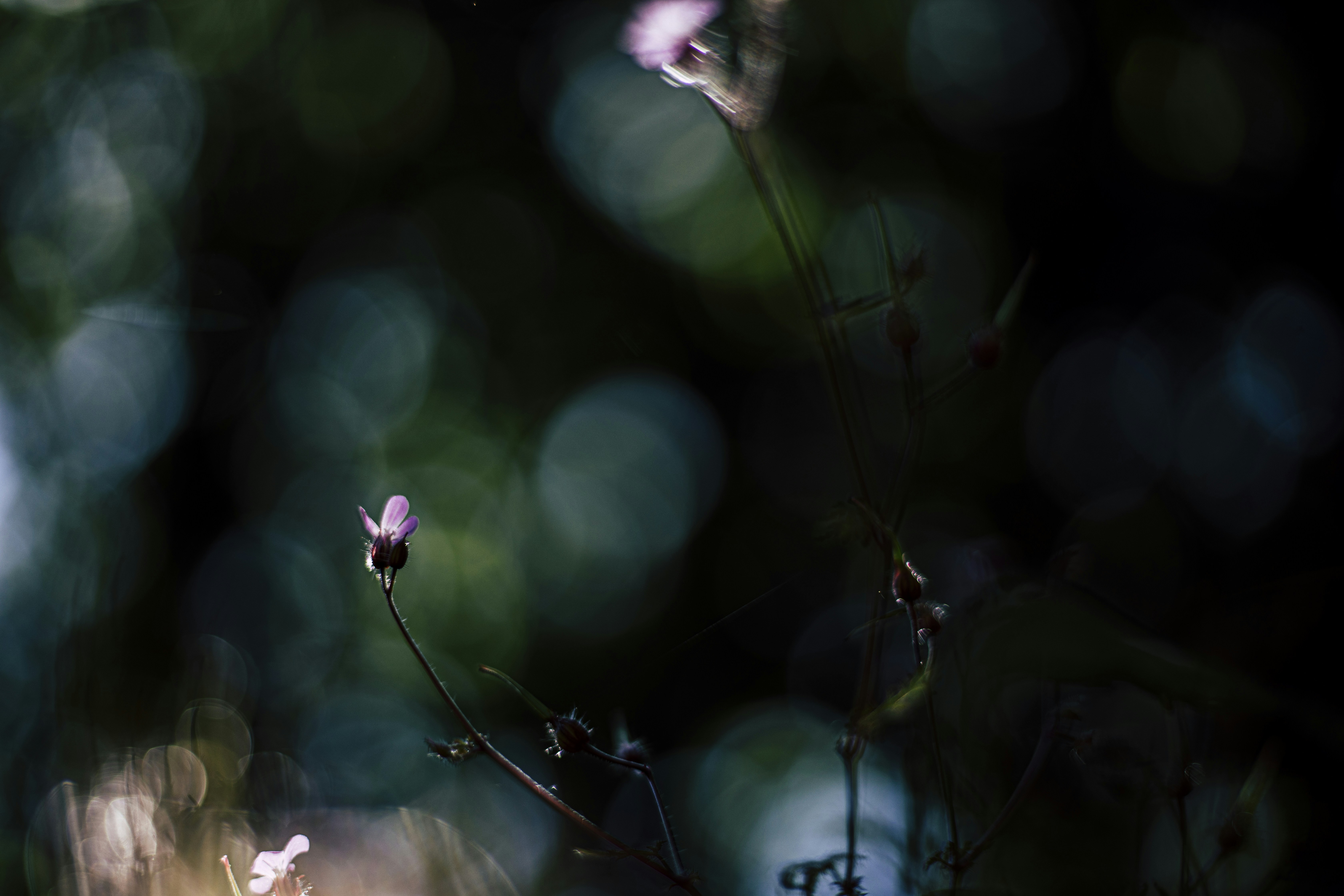 Photo by merelvanluijk_photography