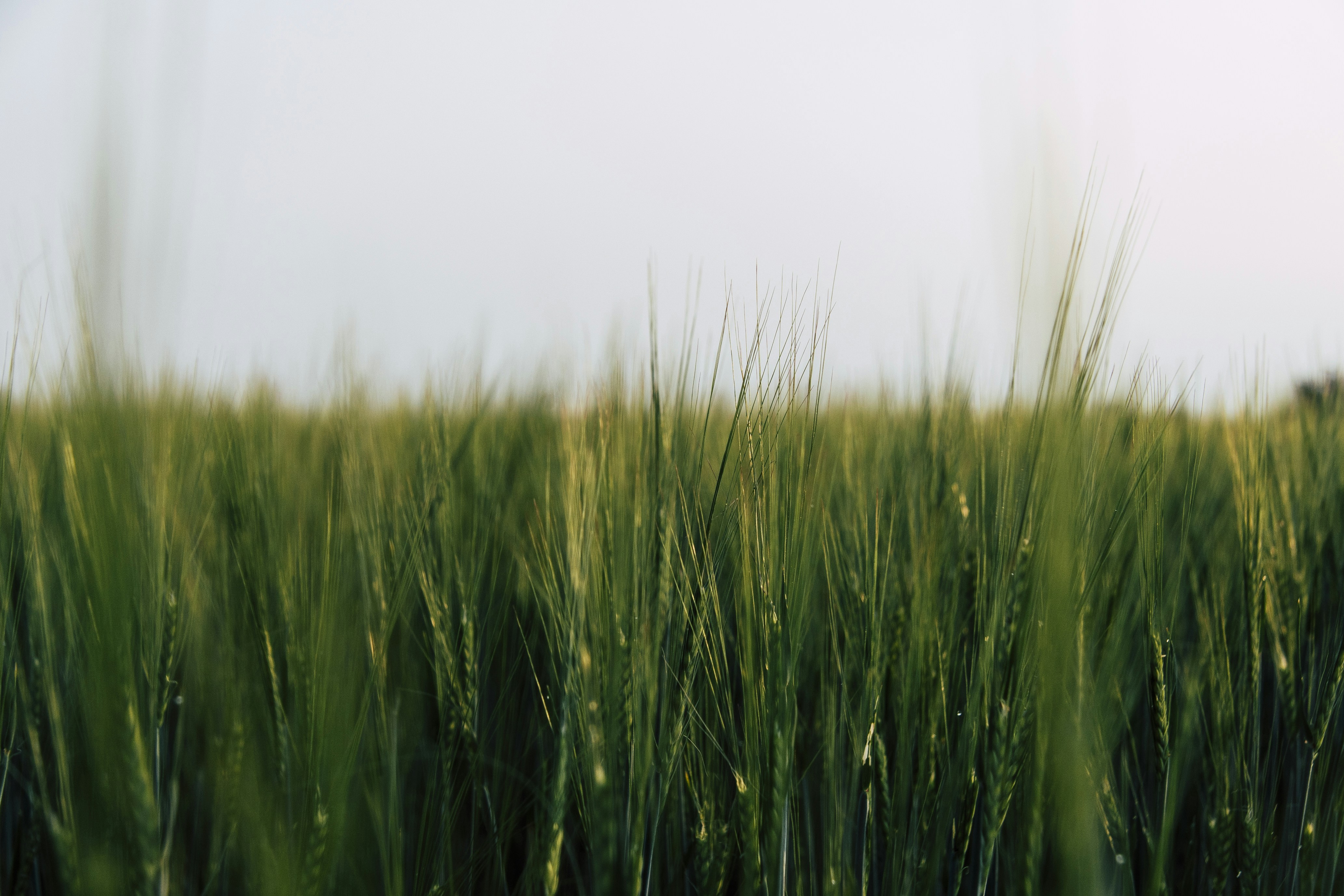 Photo by merelvanluijk_photography