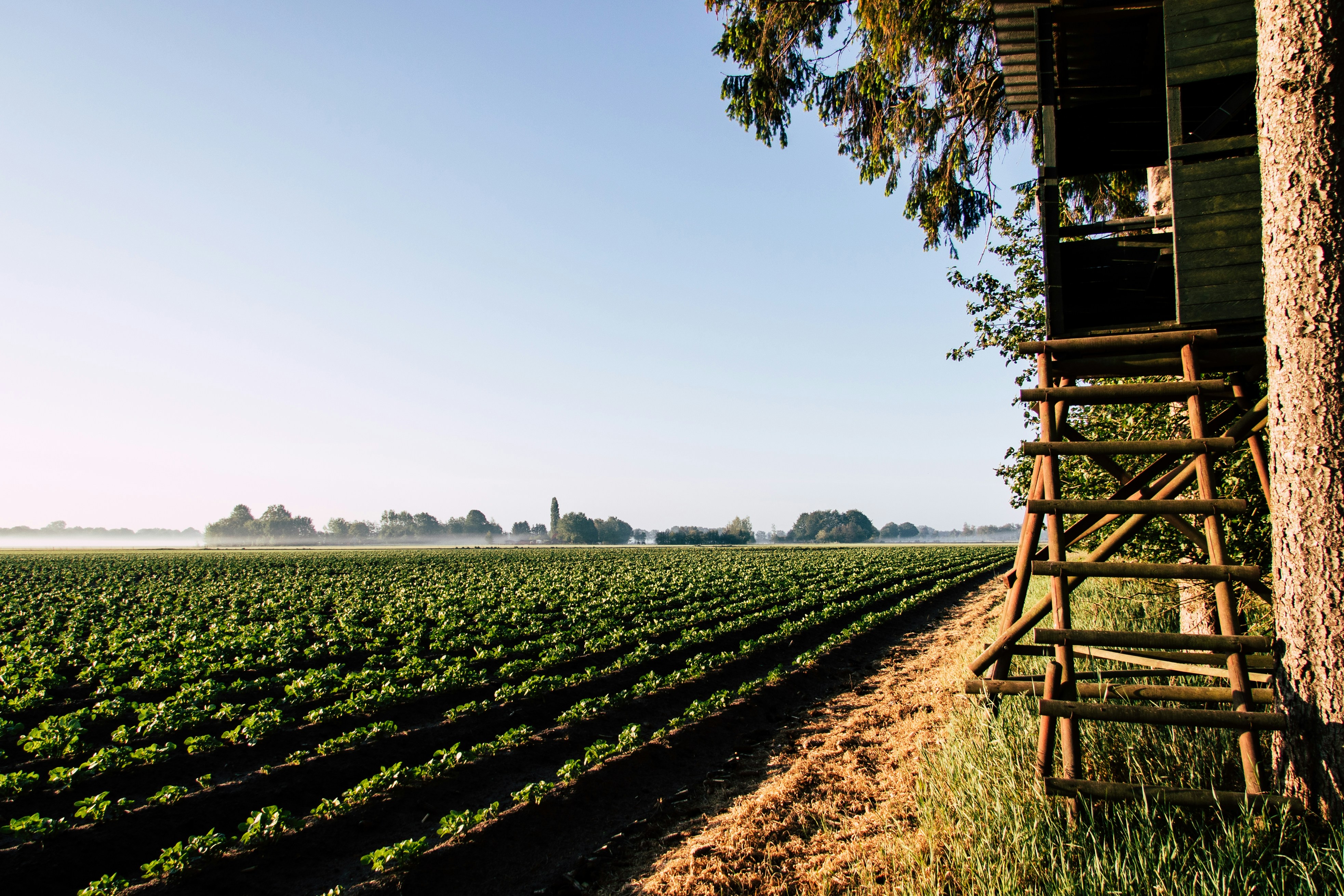 Photo by merelvanluijk_photography