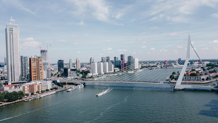 Rotterdam skyline Erasmusbrug