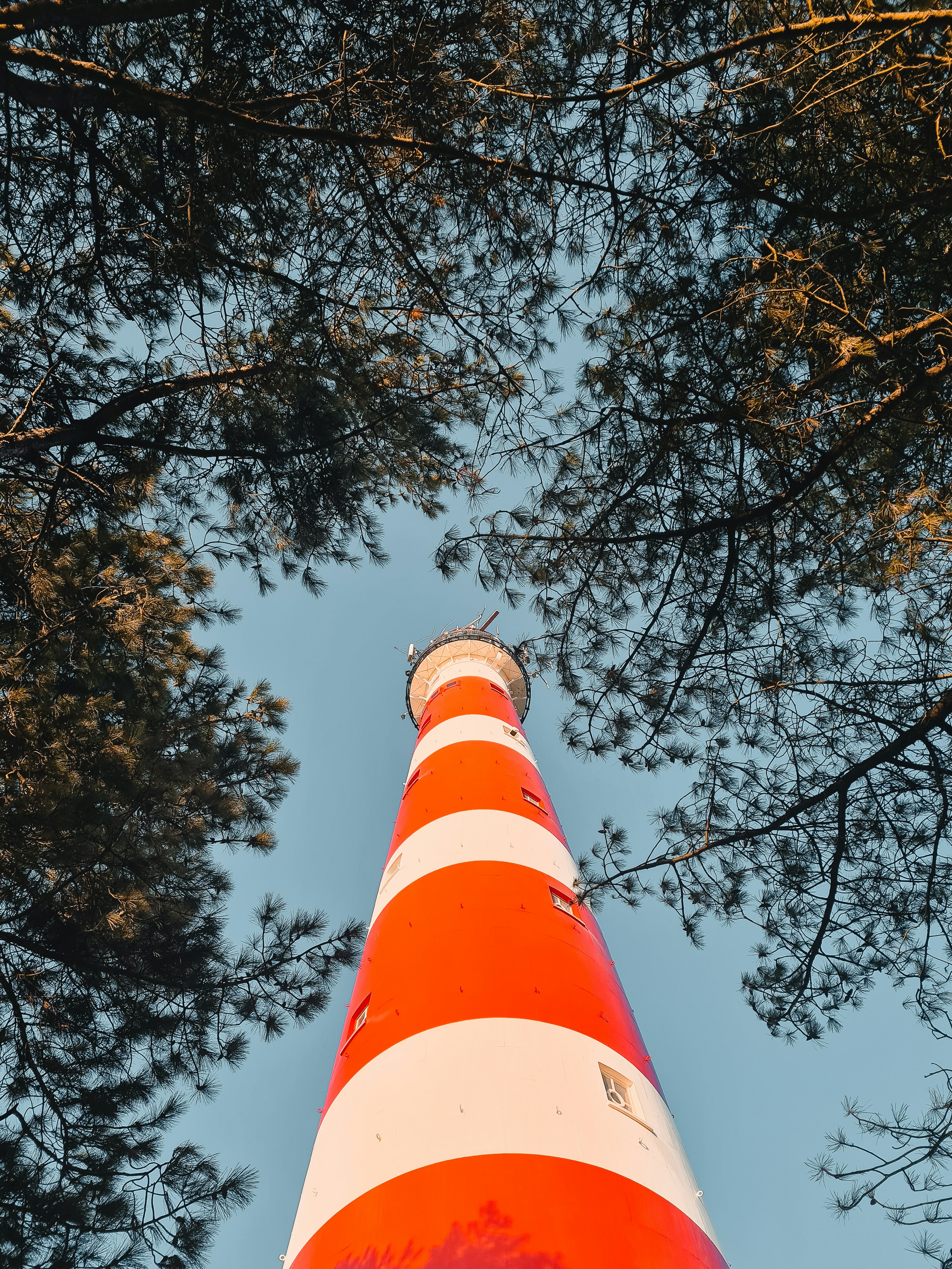 Photo by arnout