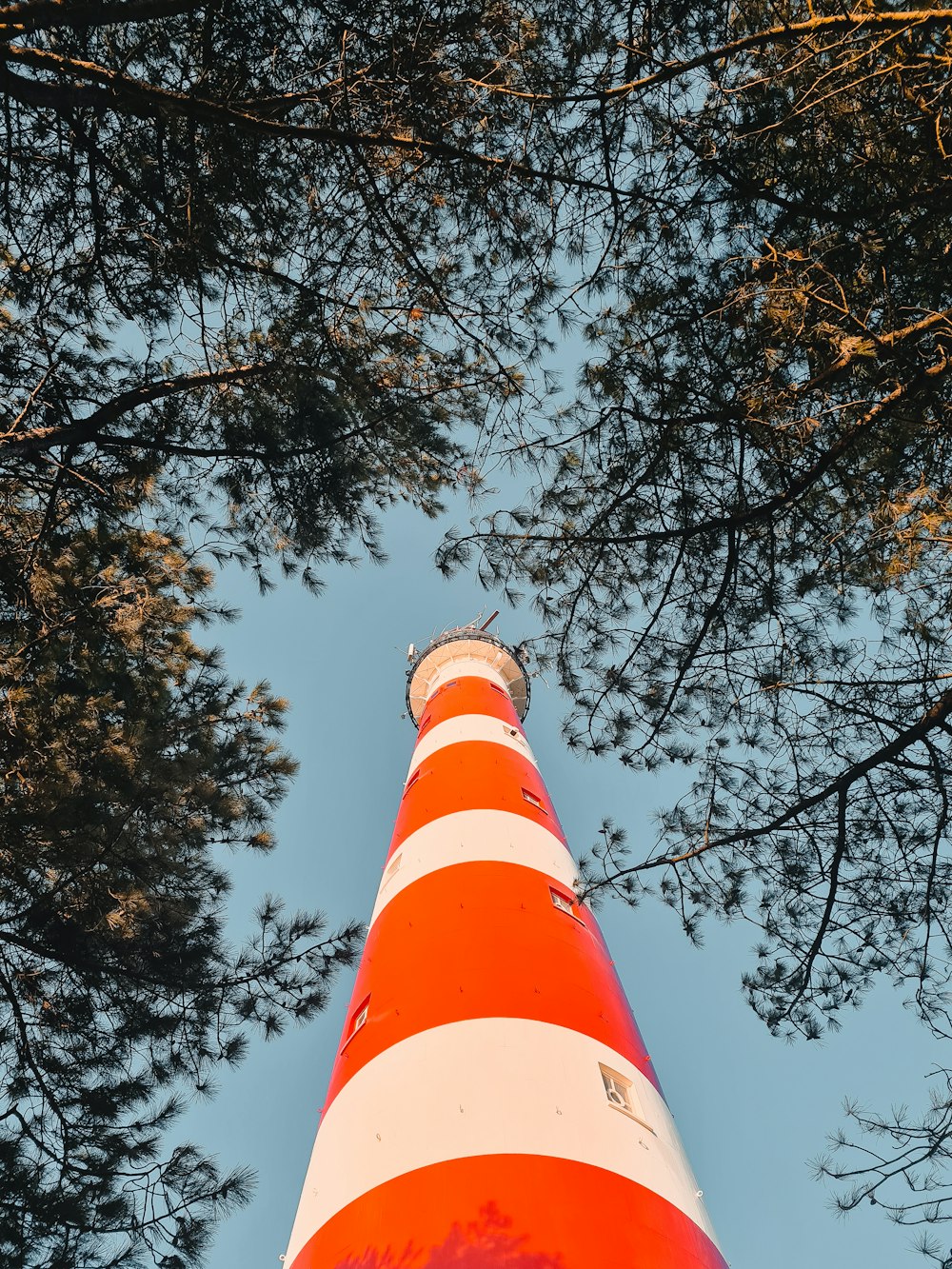 a red and white striped light house surrounded by trees