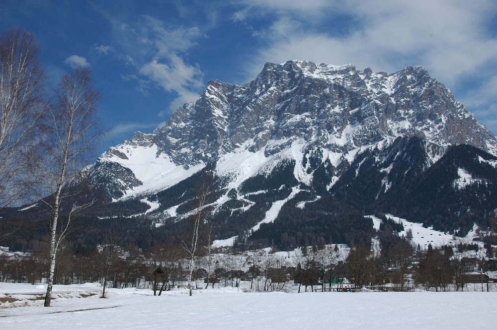 a snow covered mountain with trees in the foreground