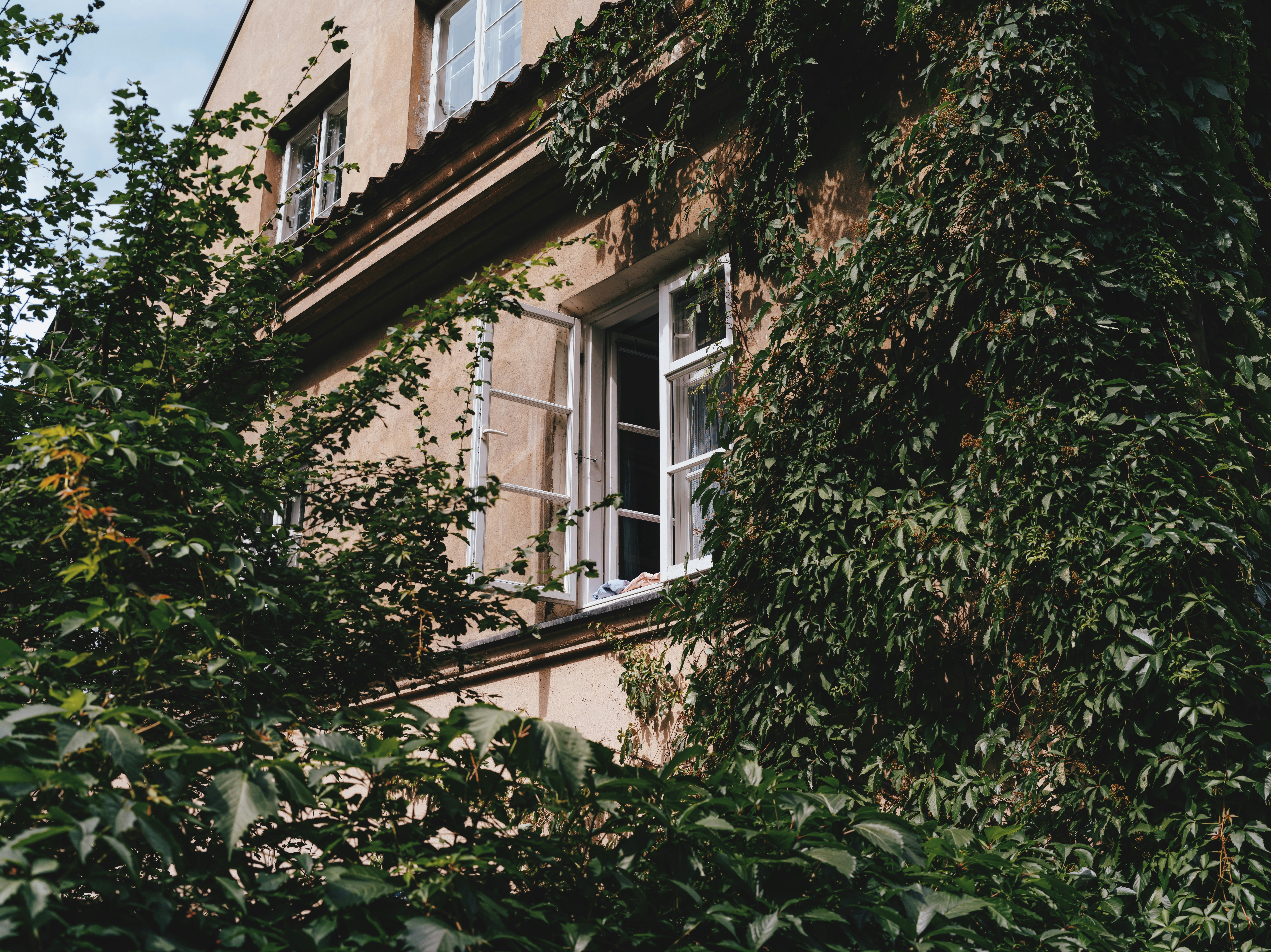 Photo by egorkomarov