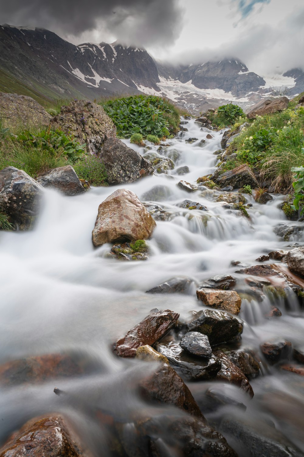 a stream running through a lush green forest