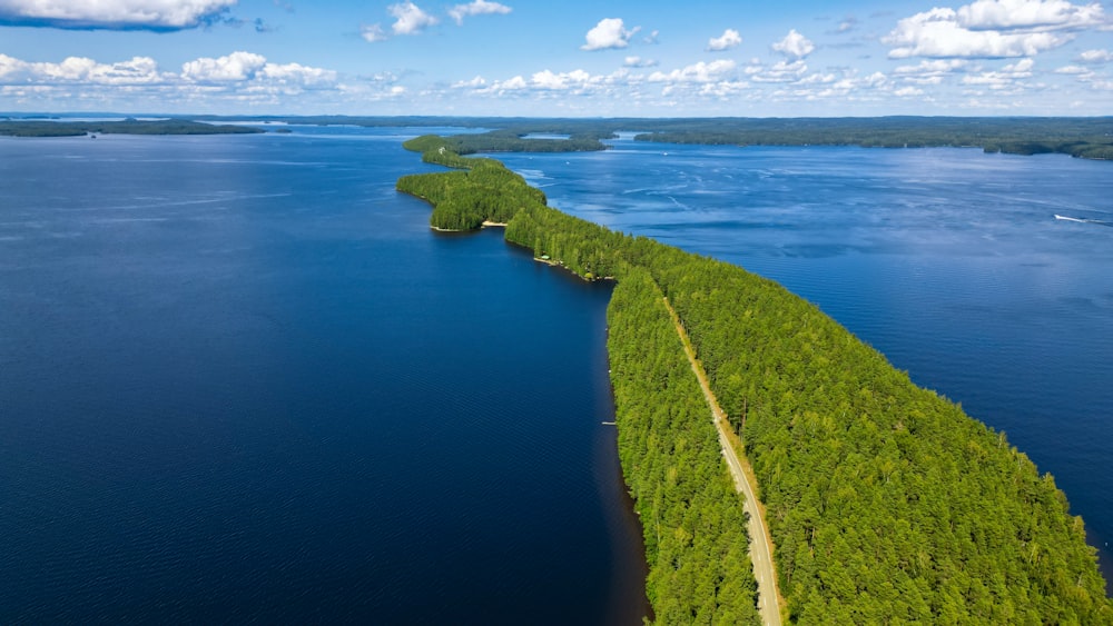 a large body of water surrounded by trees