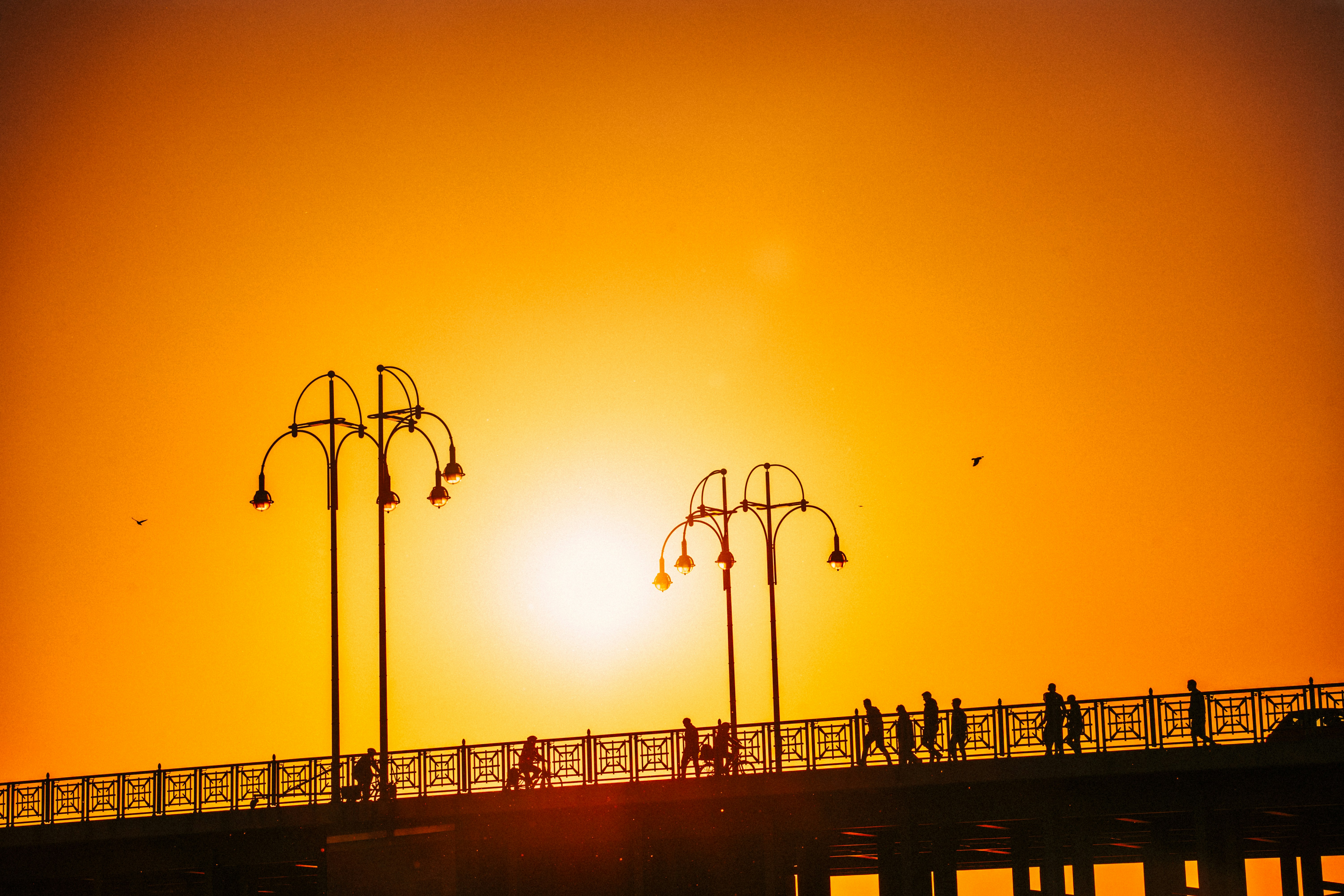 Photo by masoodaslami