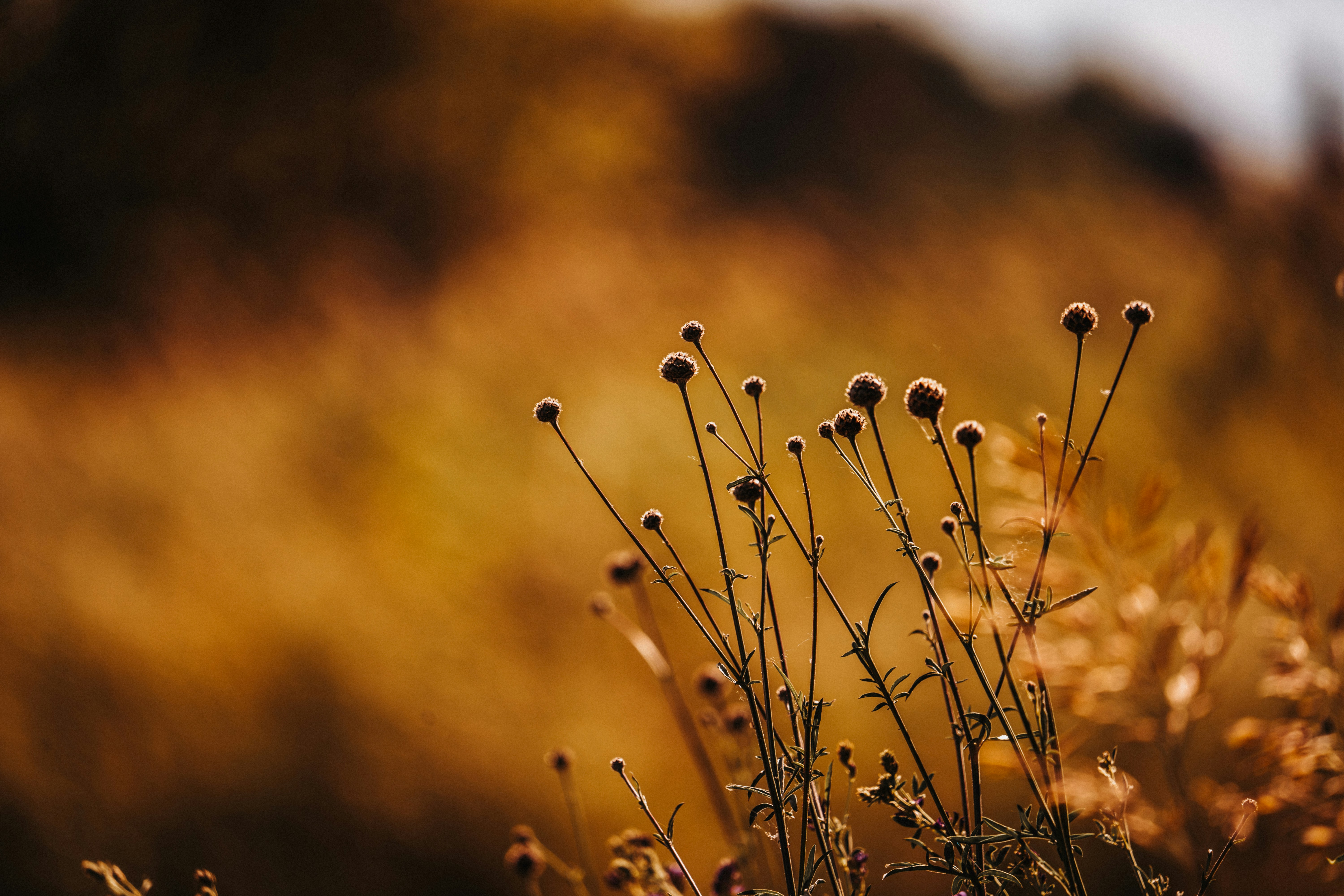 Photo by masoodaslami