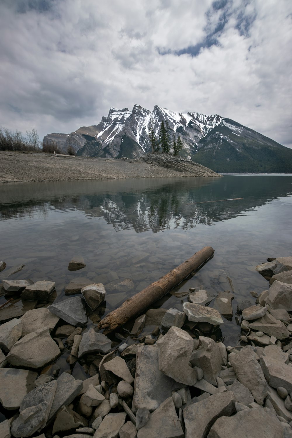 a large log sitting on top of a rocky shore