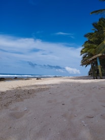 A tranquil beach scene with light beige sand stretching towards the ocean. Waves gently crash along the shore under a vivid blue sky scattered with a few white clouds. Lush green palm trees line the right side of the scene, casting some shadow on the sand.