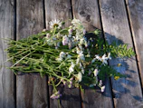 Hand arranging a bouquet of wildflowers in natural sunlight.