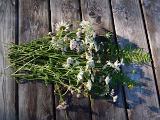 Delicate wildflowers and crystals arranged on a rustic wooden altar under soft sunlight