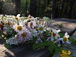 A sunlit bouquet of wildflowers resting on a rustic wooden table.