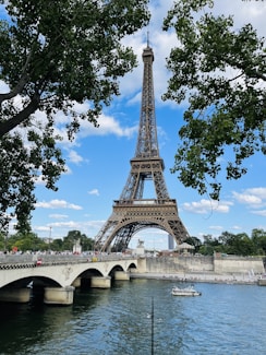 the eiffel tower towering over the city of paris