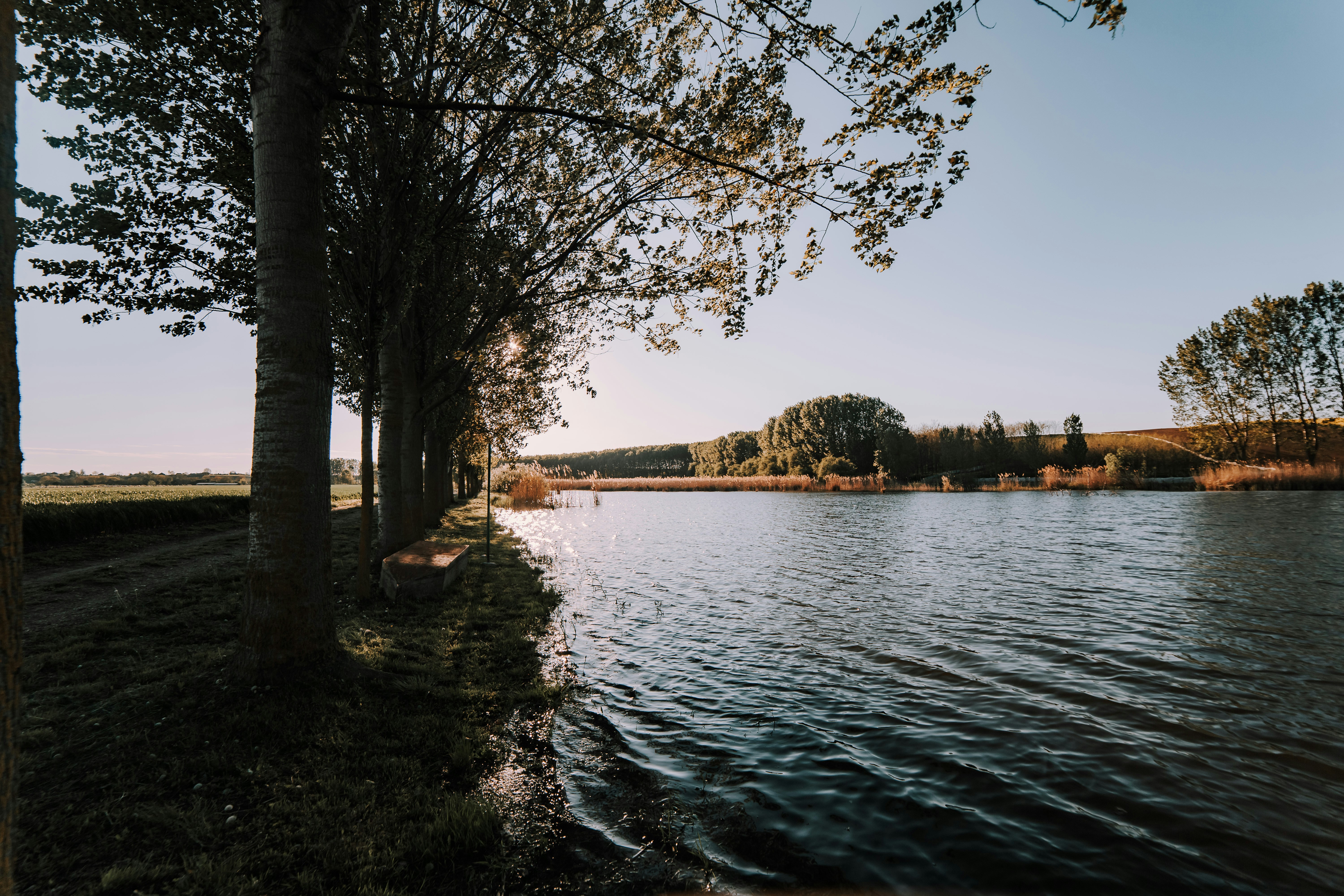 Photo by sylvester_s