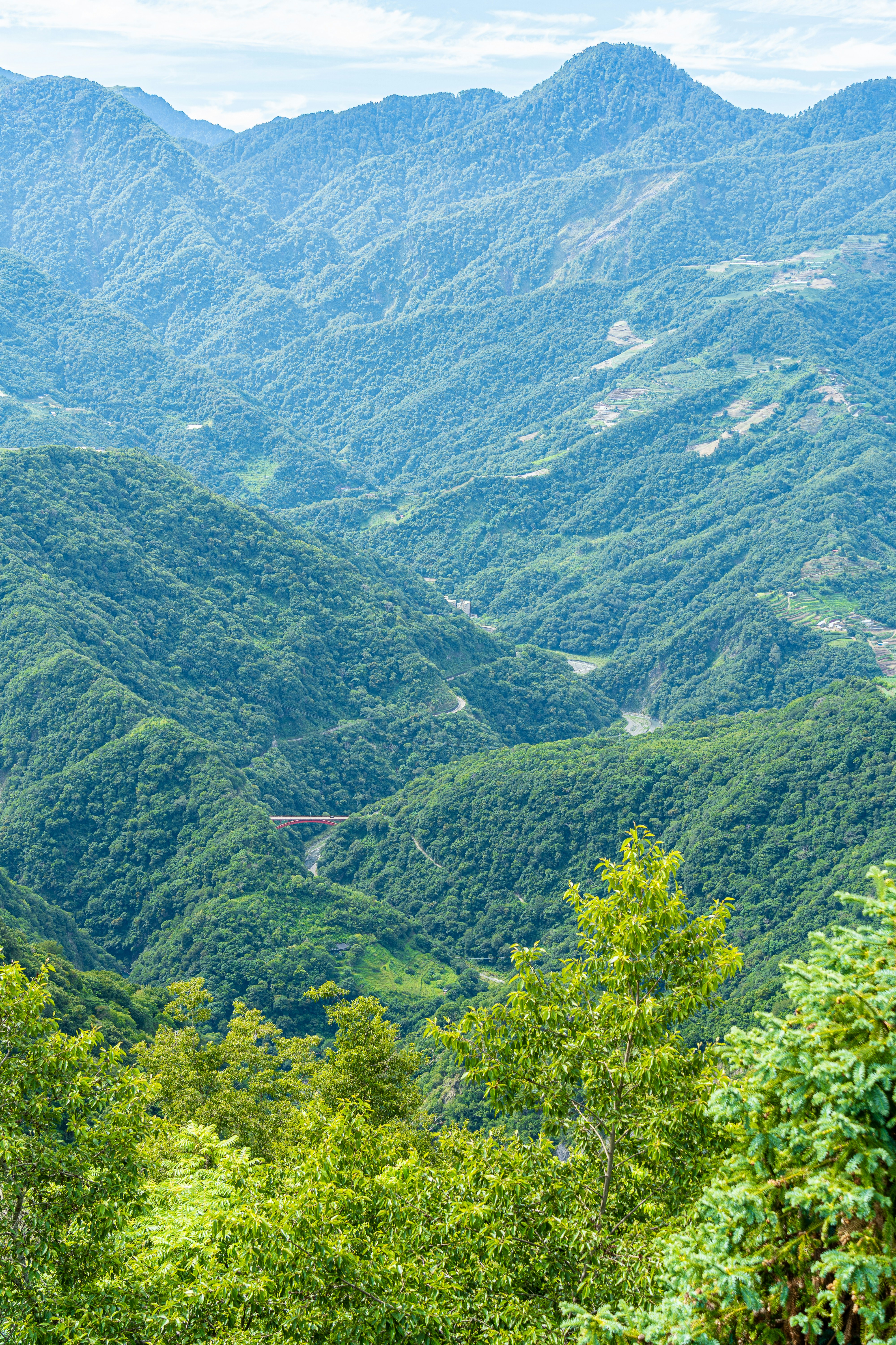 Photo by winstonchen