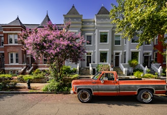 A charming street view showcasing historic homes and lush trees in a Denver neighborhood.