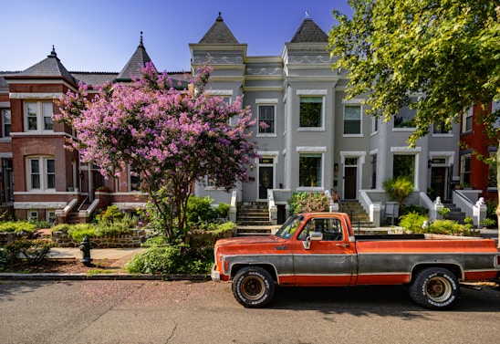 A charming street view showcasing historic homes and lush trees in a Denver neighborhood.