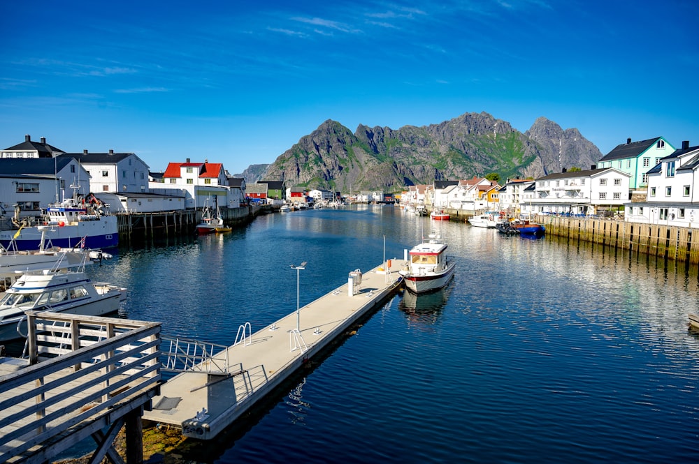 a harbor filled with lots of boats next to a mountain