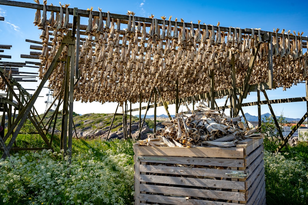 a pile of wood sitting under a wooden structure