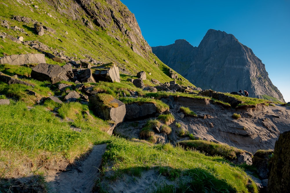 a grassy area with rocks and grass on the side of a mountain