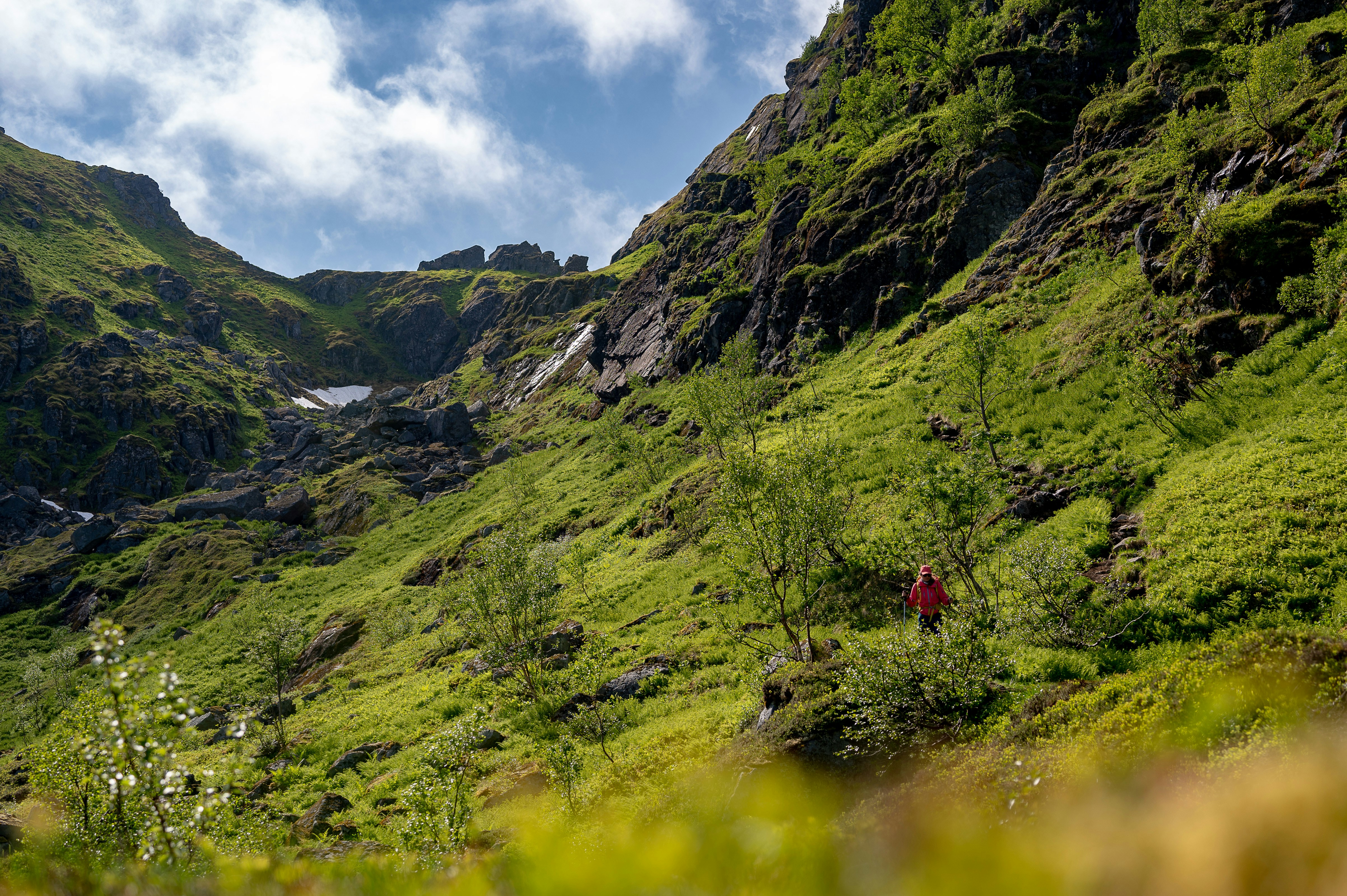 Person hiking on a scenic mountain trail with lush greenery