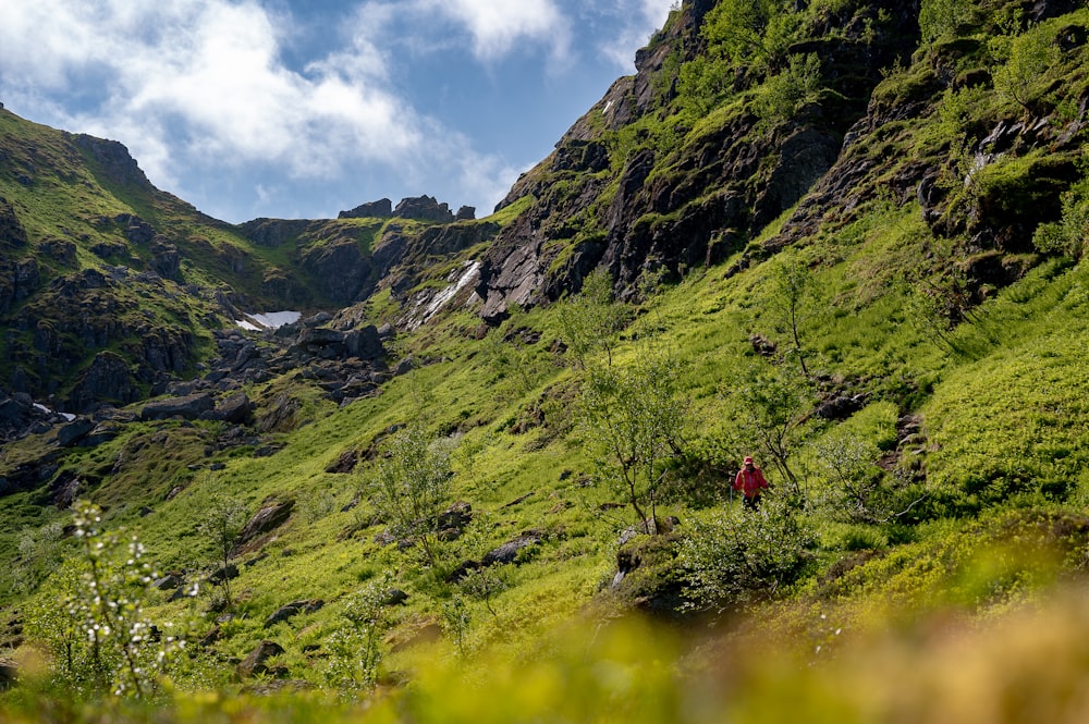 two people hiking up a grassy mountain side