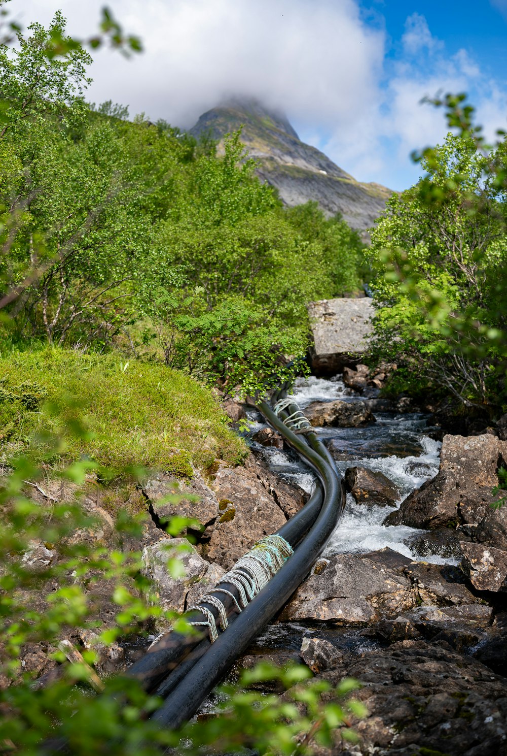 a pipe running through a mountain stream