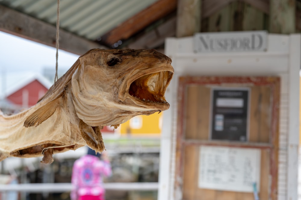 uma escultura de madeira de um peixe com a boca aberta