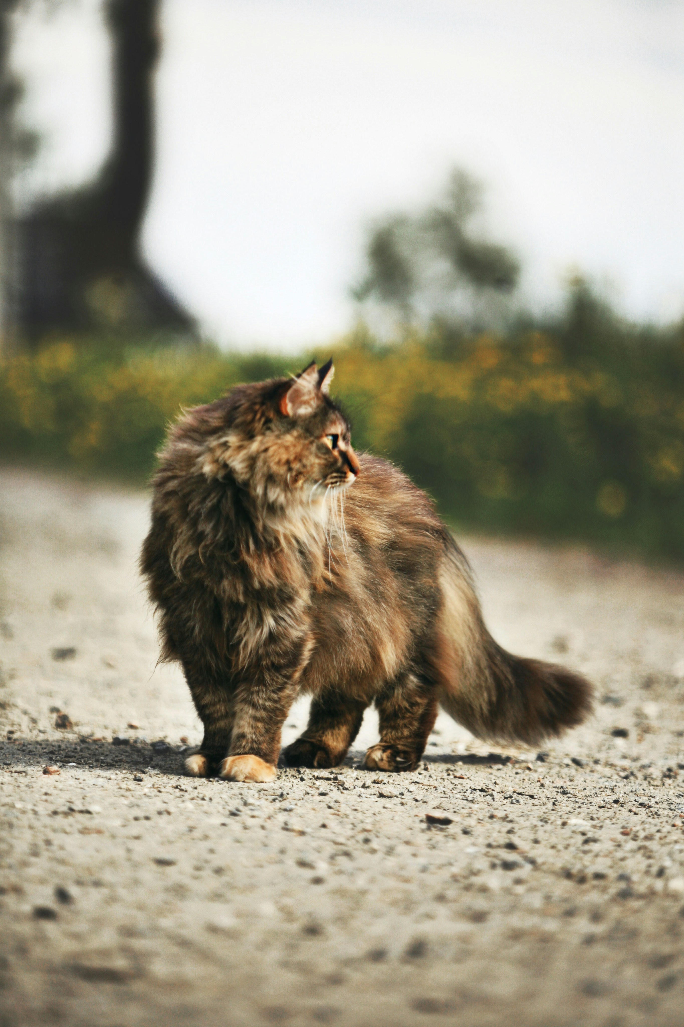 Photo by kristinokarlsen
