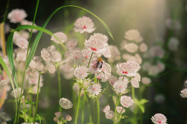 A serene garden corner with blooming wildflowers attracting bees and butterflies under soft sunlight.