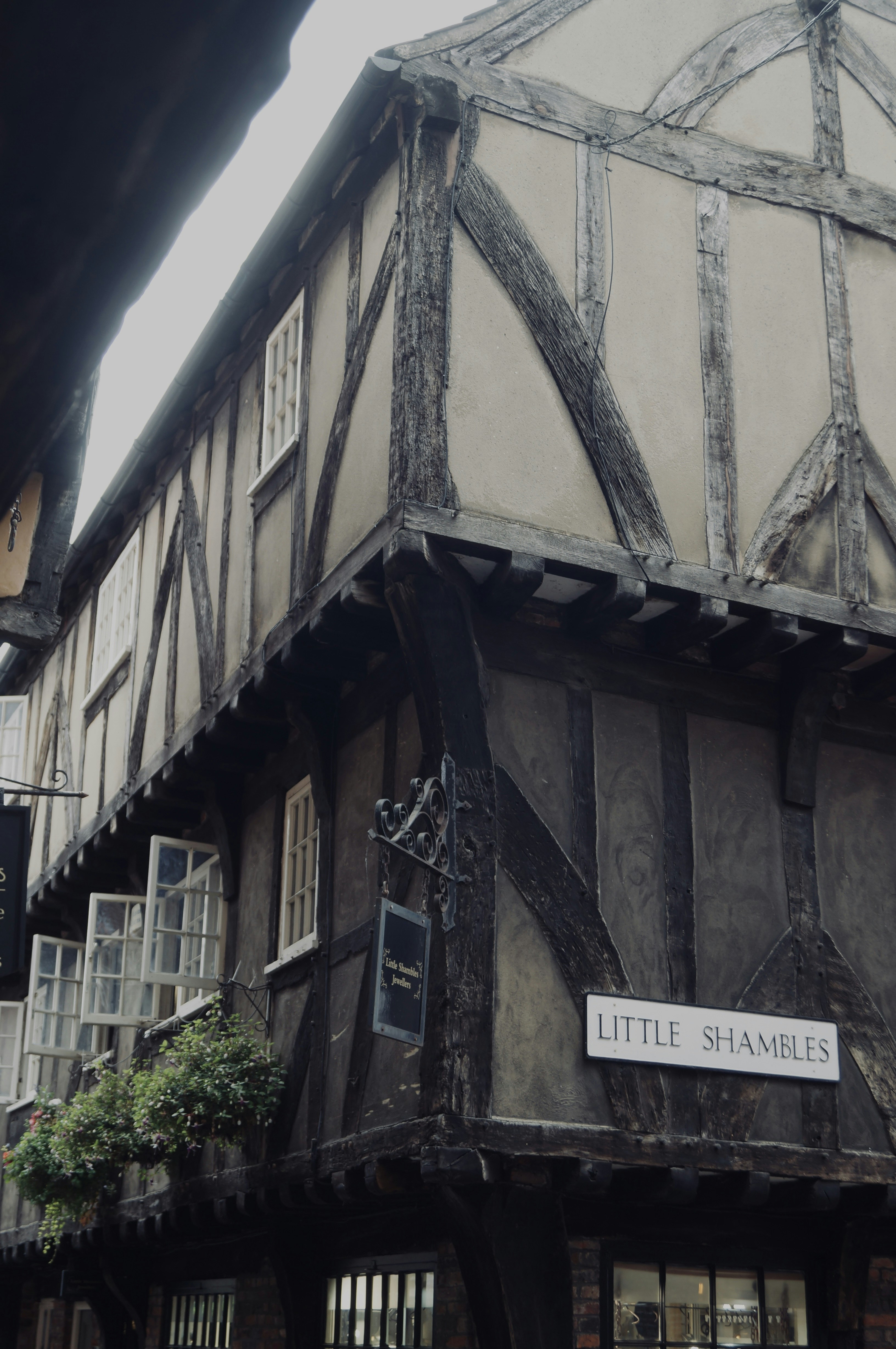 Photo by dogtown_prints