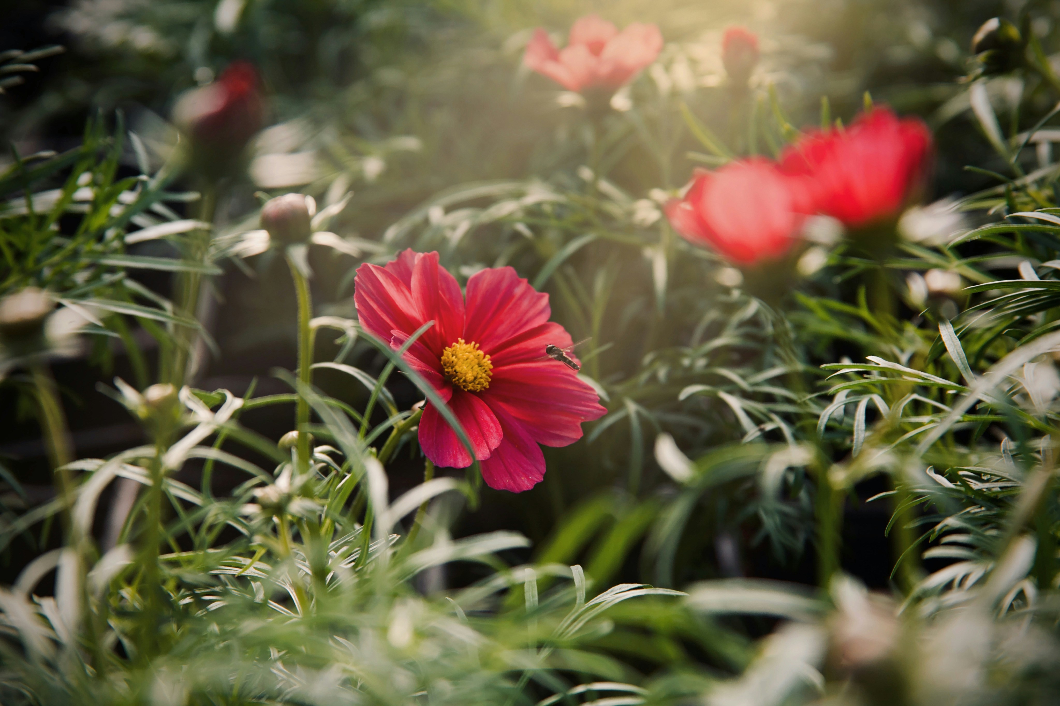 Photo by kristinokarlsen