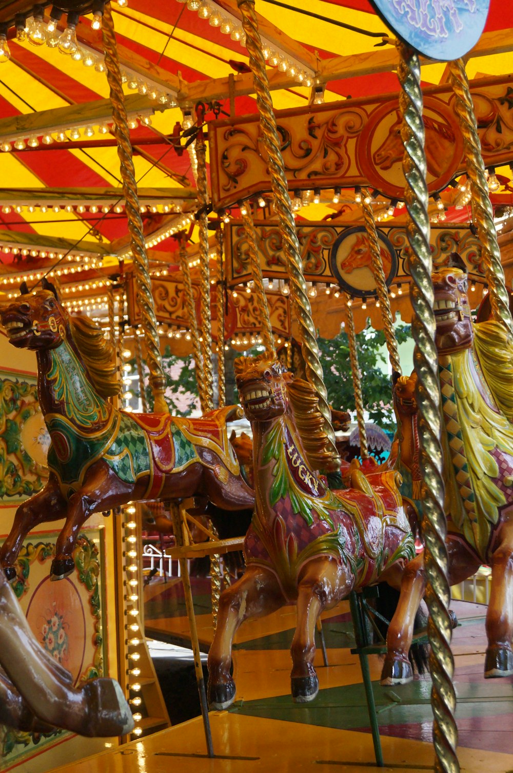 a merry go round with horses and lights