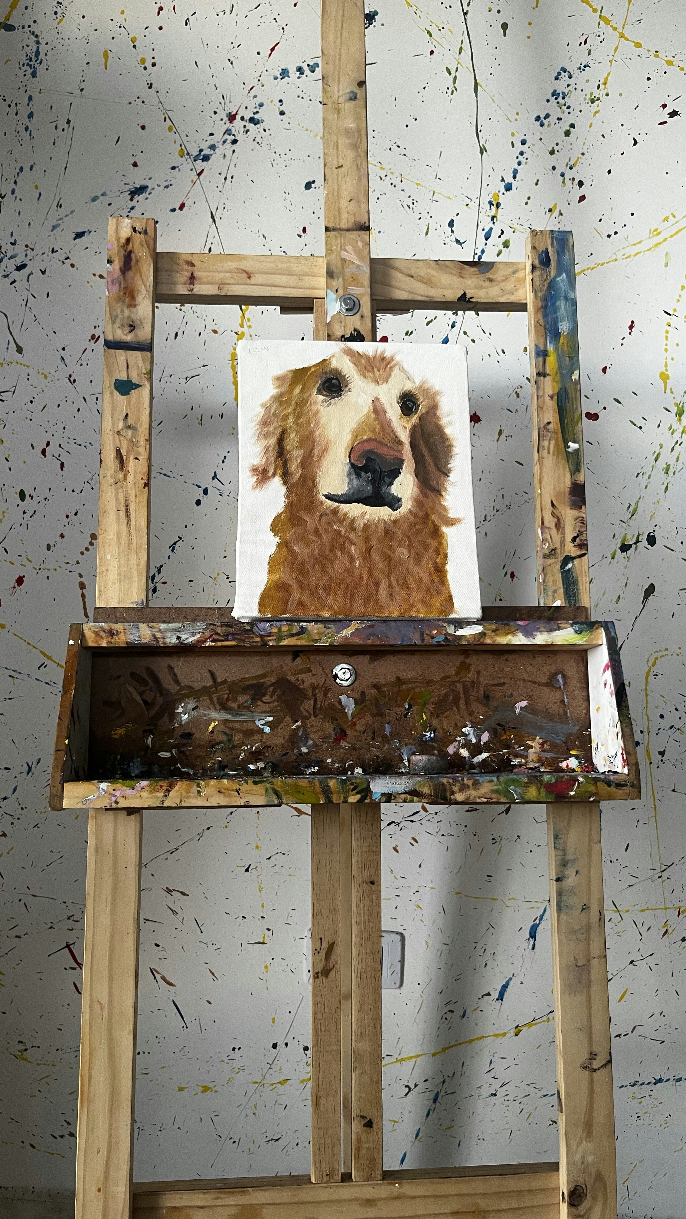 Paint Your Pet