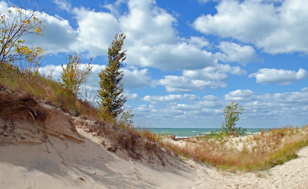 a sandy path leading to the ocean under a cloudy blue sky