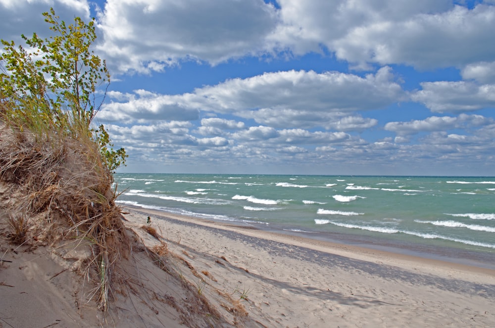 a sandy beach with waves coming in from the ocean