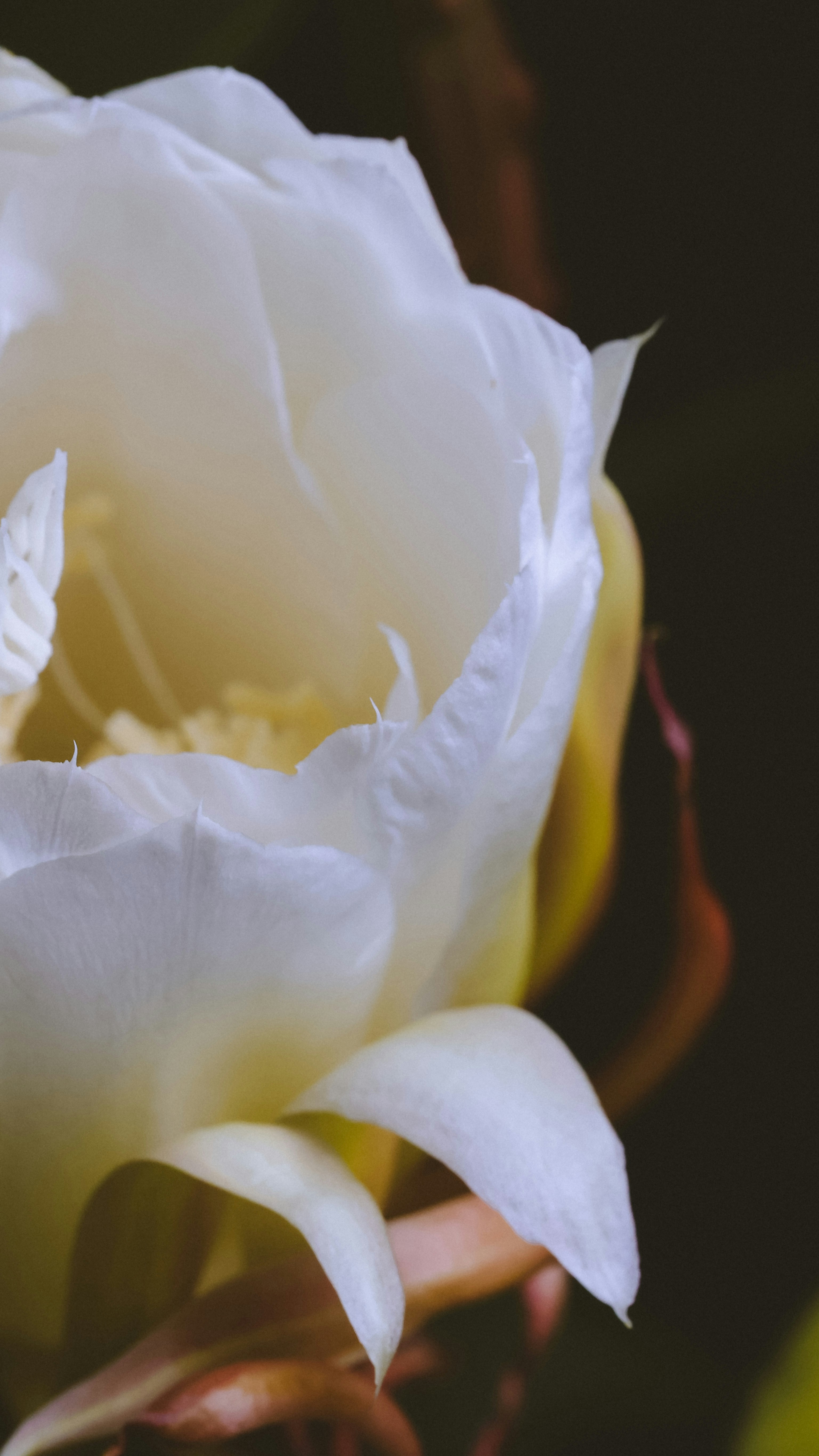 Photo by dickenslin76