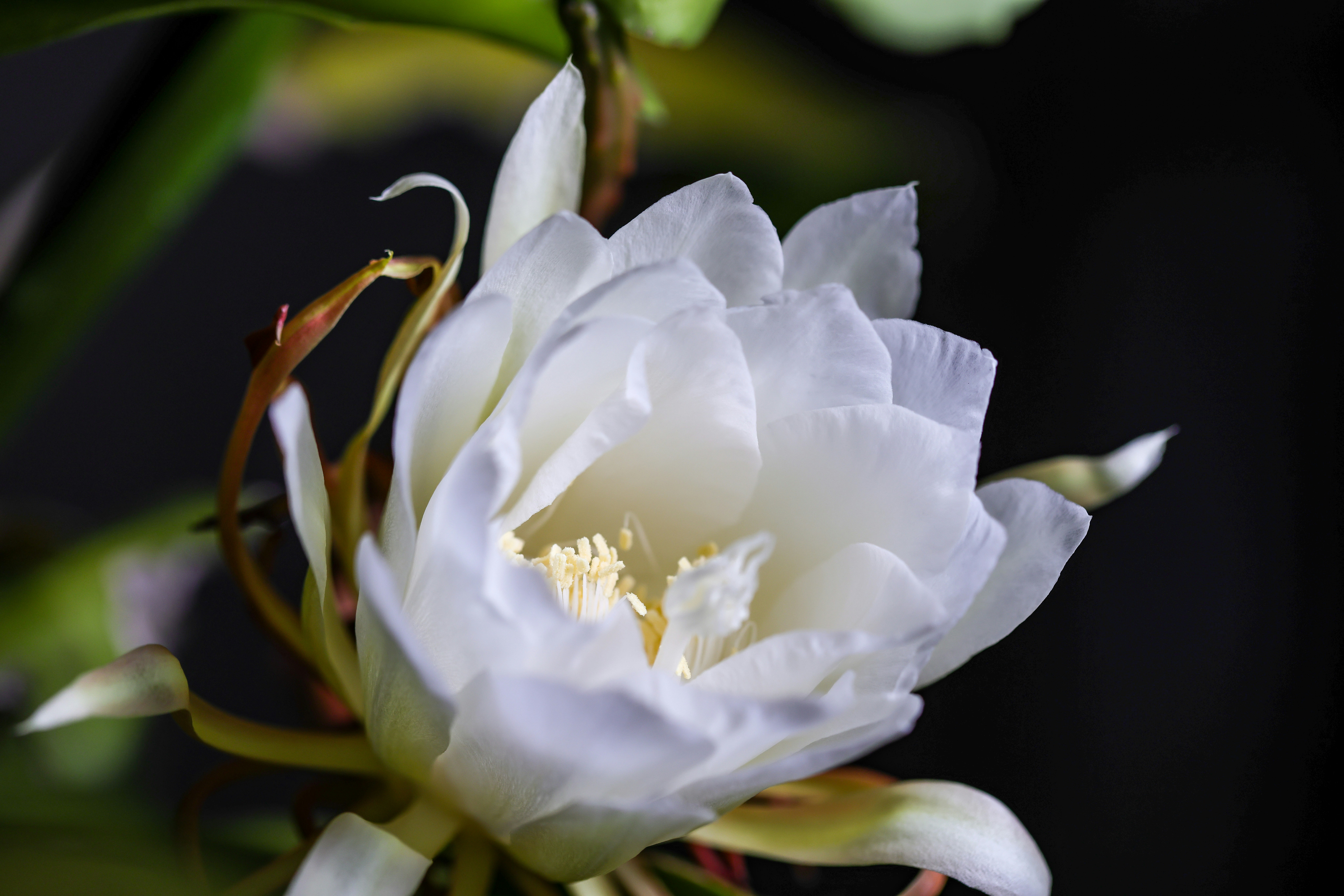 Photo by dickenslin76