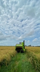 A green combine harvester is operating in a vast golden wheat field under a partly cloudy sky. The wheat is tall and ripe, and the machine is creating a clear path as it processes the crops. The distant horizon is flat with some trees visible.