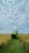 A smiling farmer standing next to his wheat thresher in a sunny field.