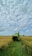 A smiling farmer standing next to his newly purchased wheat thresher in a golden field.