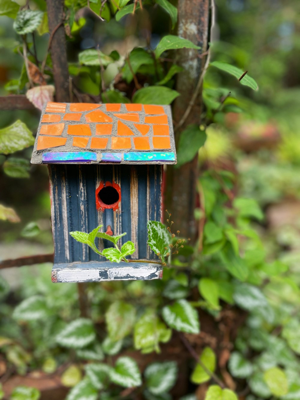 a birdhouse with a plant growing inside of it