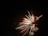Vibrant fireworks burst against the night sky, displaying an array of colors including green, red, yellow, and blue. The streaks of light fan outwards, creating a dynamic and festive pattern.