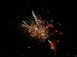 A colorful display of Ayyan Bunny brand fireworks lighting up the night sky.