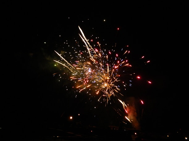 A colorful display of Ayyan Bunny brand fireworks lighting up the night sky.