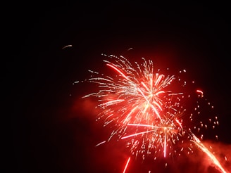 Bright red fireworks burst against a black night sky, with dazzling trails and sparks creating a vibrant display. The explosive lights form patterns and illuminate the surrounding smoke.