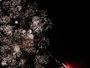 Bright fireworks burst in the night sky, creating a stunning display of light and sparks. The explosions illuminate the dark background with intricate patterns and trails.