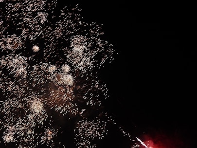 Bright fireworks burst in the night sky, creating a stunning display of light and sparks. The explosions illuminate the dark background with intricate patterns and trails.
