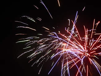 Vibrant display of colorful fireworks bursting against a dark night sky.